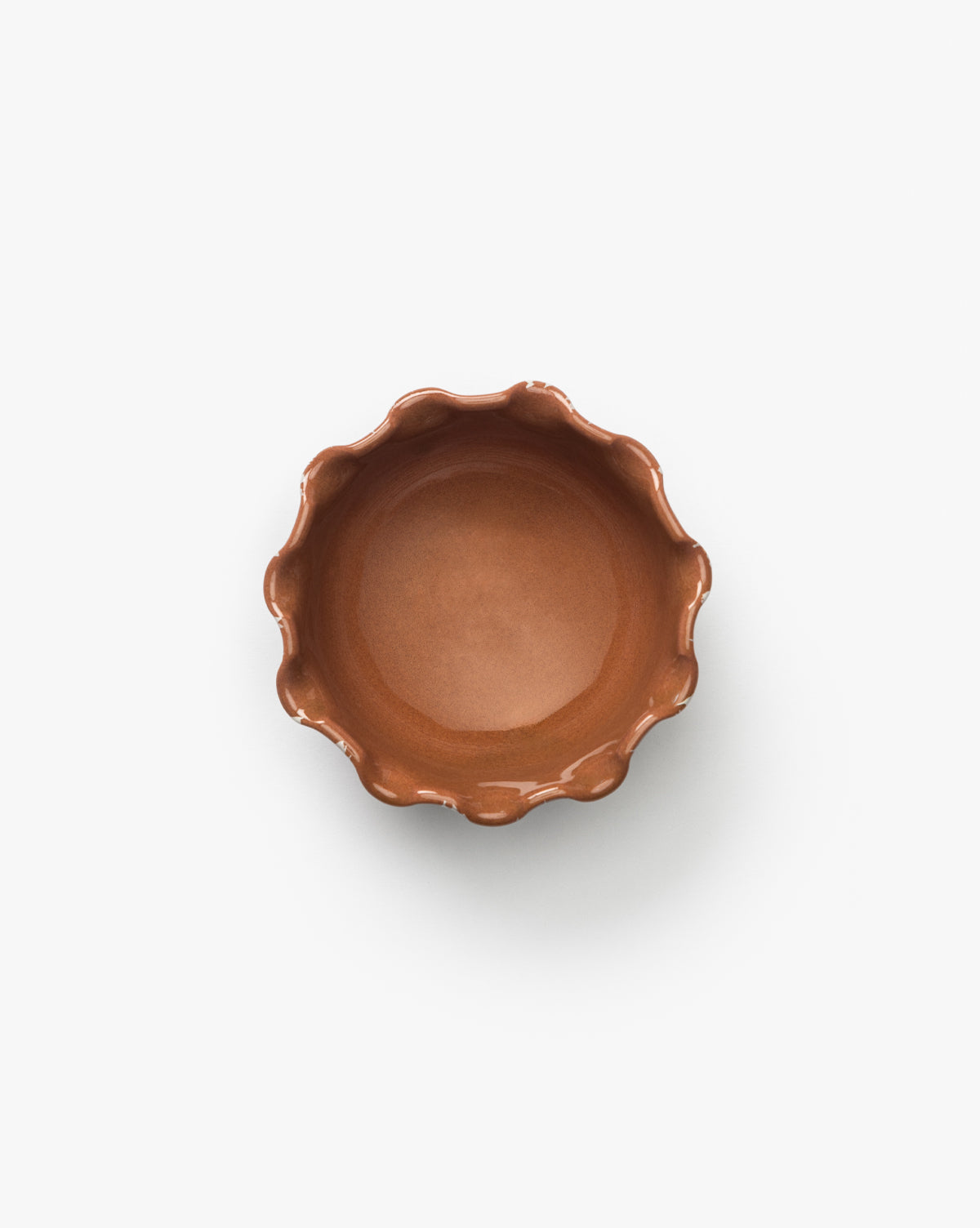 Plat de pétoncles éclaboussés